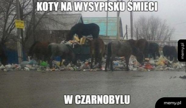 Czarnobyl