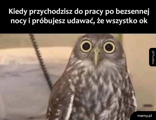 Wcale nie śpię