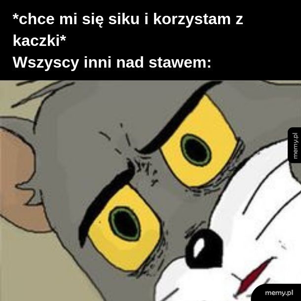 Kaczka