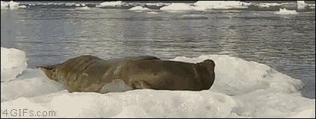 Buuu!!!!