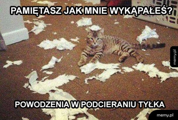 Zemsta kotka