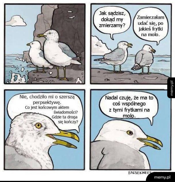 Frytki na molo