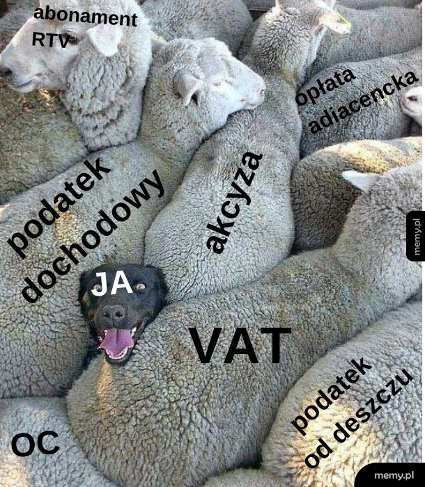 Czuje się jakiś przytłoczony