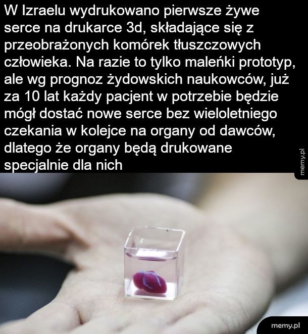 Serce