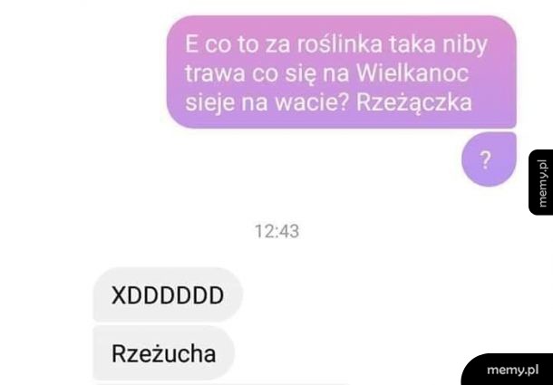 Traw ana wacie
