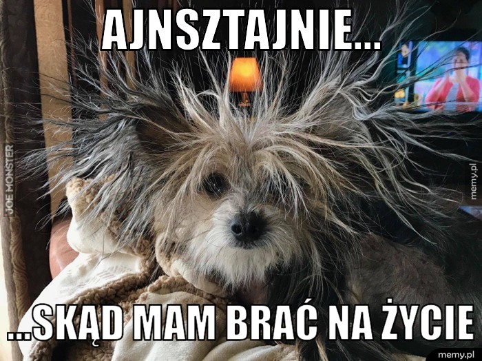 Ajnsztajnie... ...skąd mam brać na życie