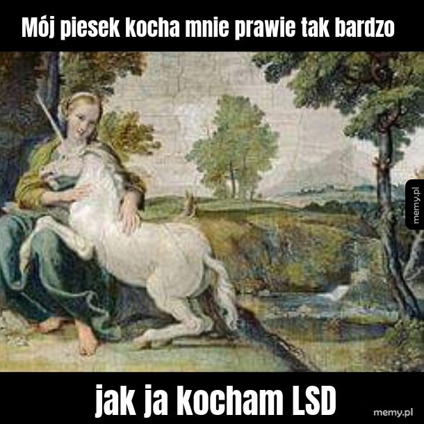 Piesek