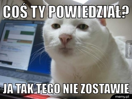 Coś ty powiedział? Ja tak tego nie zostawie