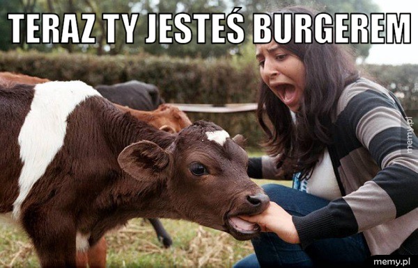 Zemsta