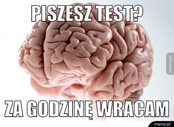 Mózg
