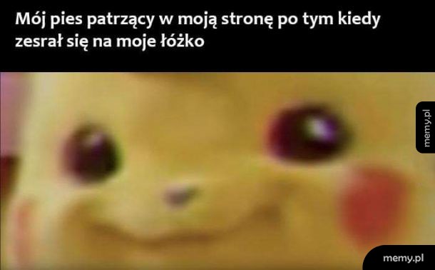 Szczęśliwe oczka