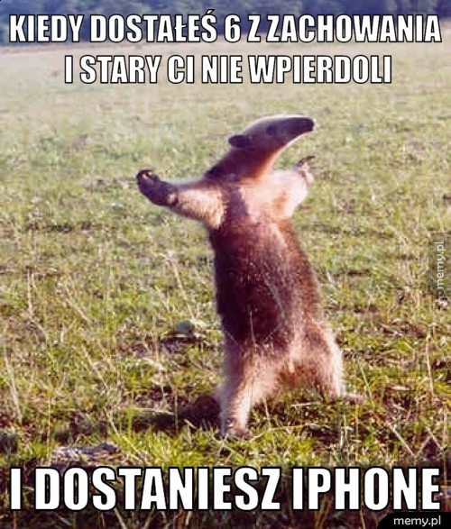 Kiedy dostałeś 6 z zachowania i stary ci nie wpierdoli I dostaniesz Iphone