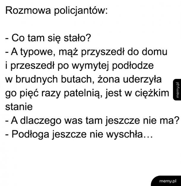 Policja