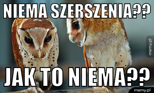 Niema Szerszenia?? Jak to niema??