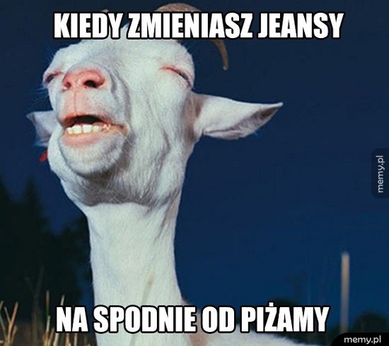 Ten uczuć