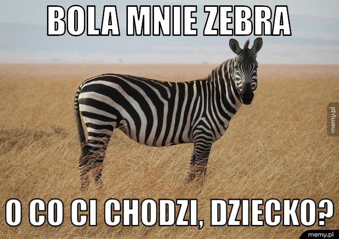 Poprawna polszczyzna