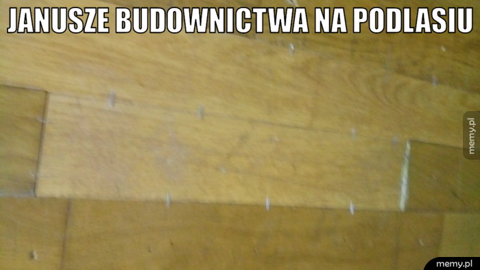 Janusze budownictwa na Podlasiu