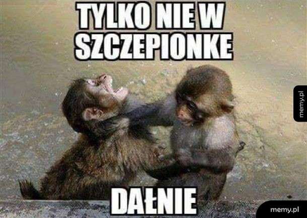 Bójka za dzieciaka