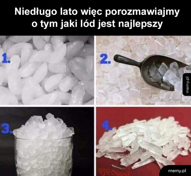 Który wybierasz