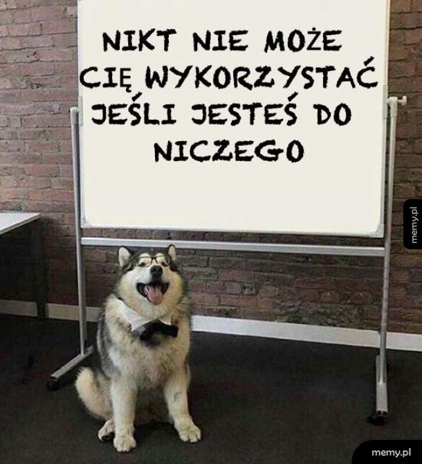 Mądrości pieseła