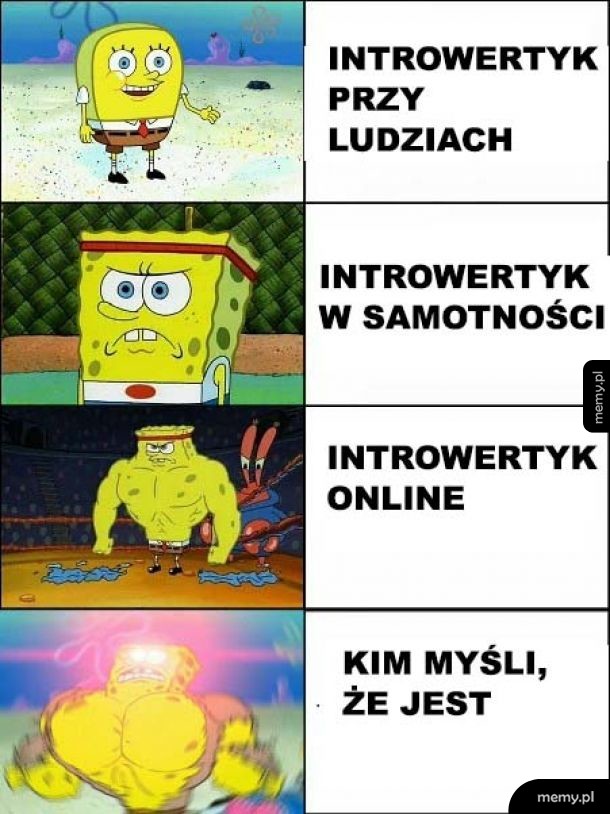 Introwertyk