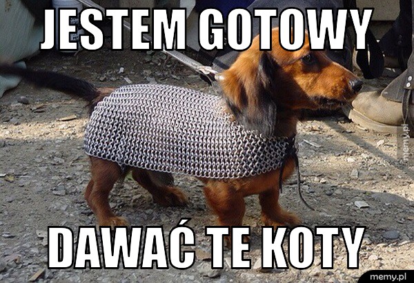 Zwarty i gotowy