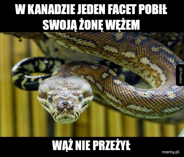 Przemoc