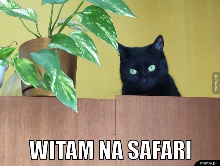 Witam na safari