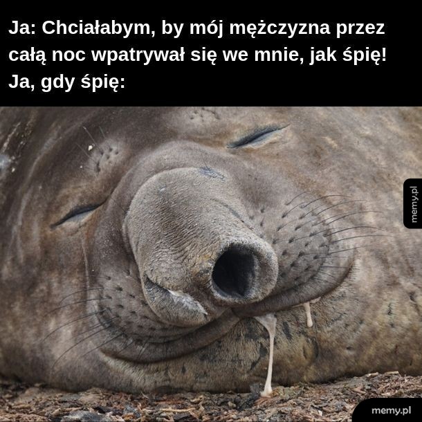 Ludzie, jak śpią, są obleśni