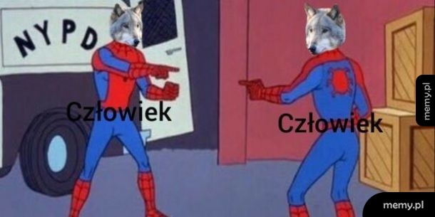 Człowiek człowiekowi