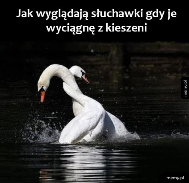 Słuchawki