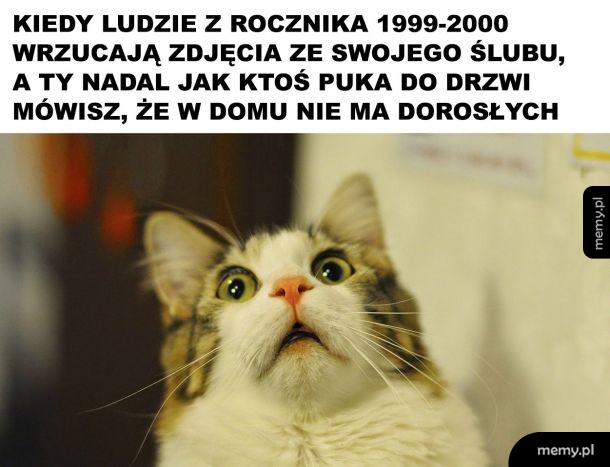 Różne etapy