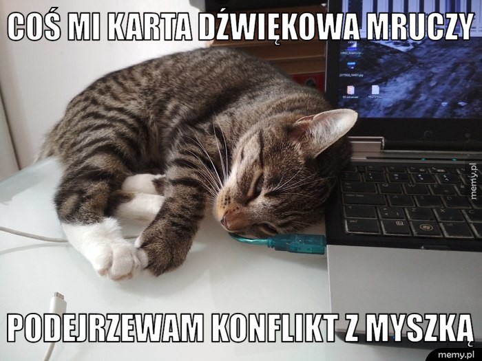Coś mi karta dźwiękowa mruczy podejrzewam konflikt z myszką