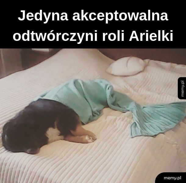 Syrenka