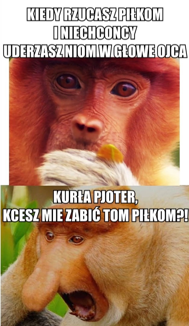 Kiedy rzucasz piłką...