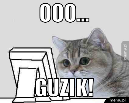 Ooo... guzik!