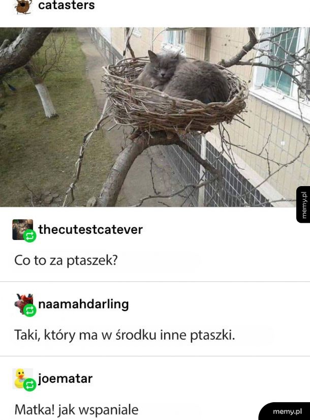 Jaki śliczny ptaszek