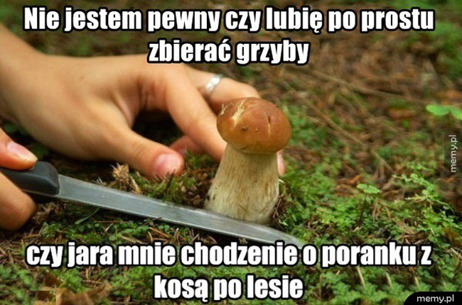 Nie jestem pewny