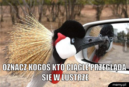 Oznacz kogoś kto ciągle przegląda się w lustrze