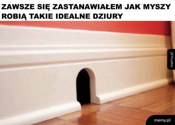Jak one to robią