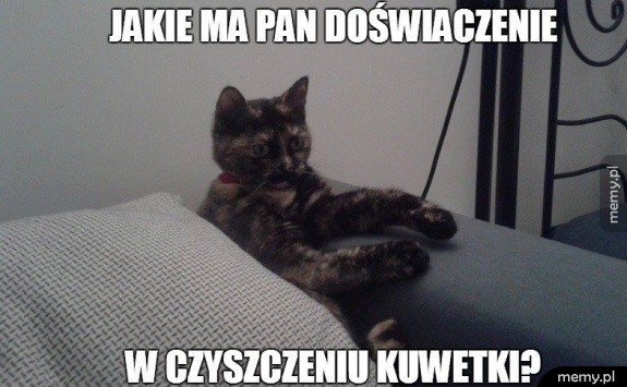 Rozmowa kwalifikacyjna