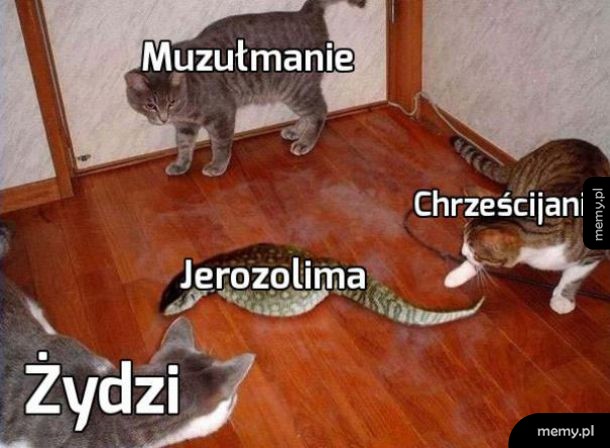 Odwieczny konflikt