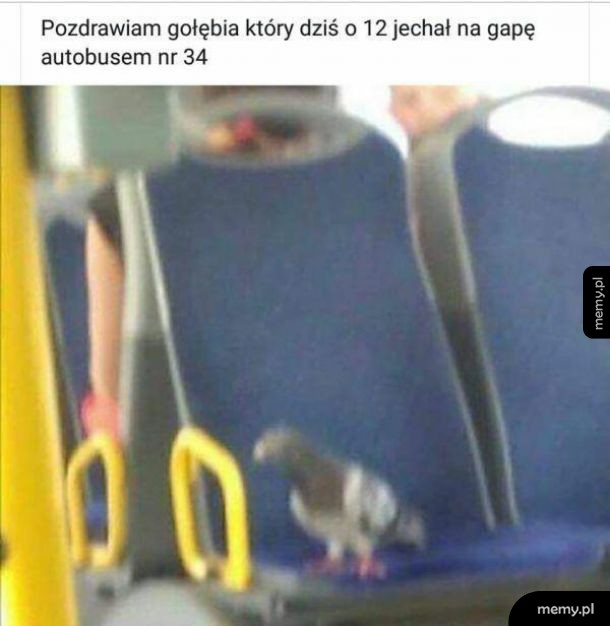 Pozdrawiam cieplutko