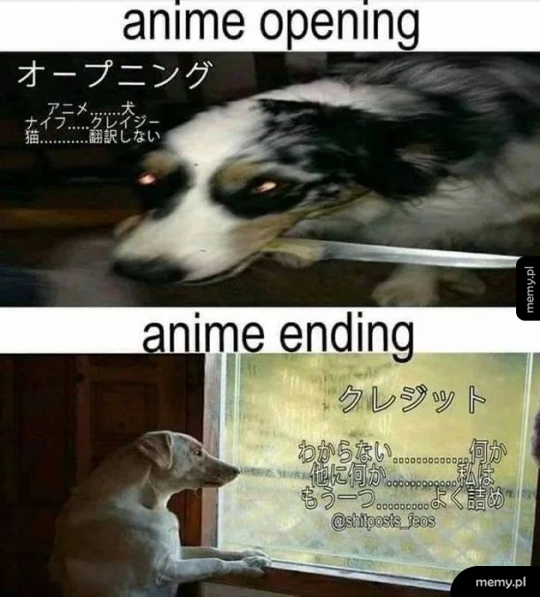 Typowe