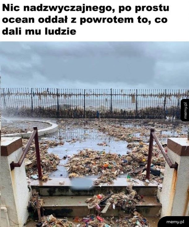 Oddał
