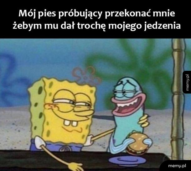 Mój pieseł