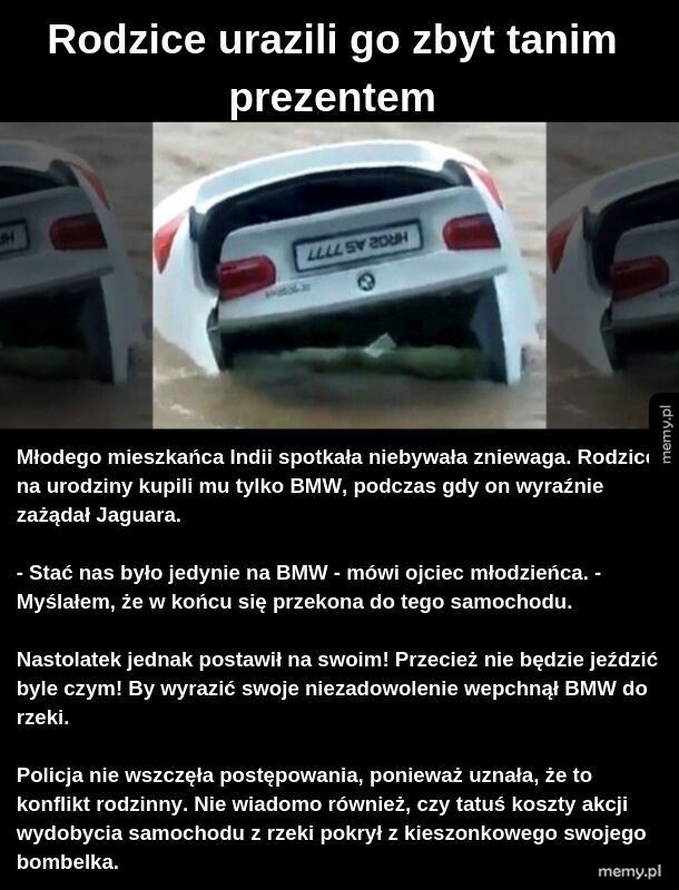 Nie powinien mieć jaguara. Nie jest gotowy na zwierzątko