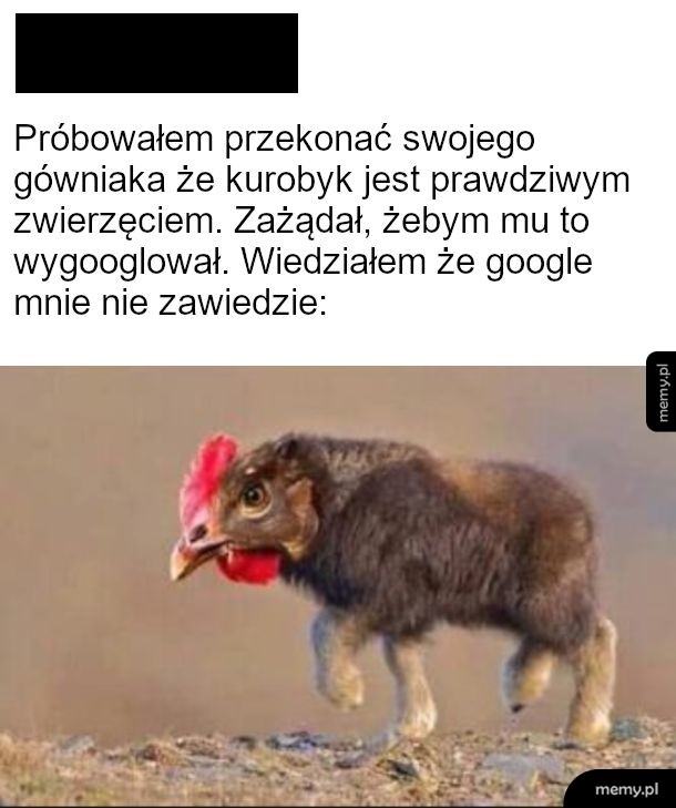 Image search