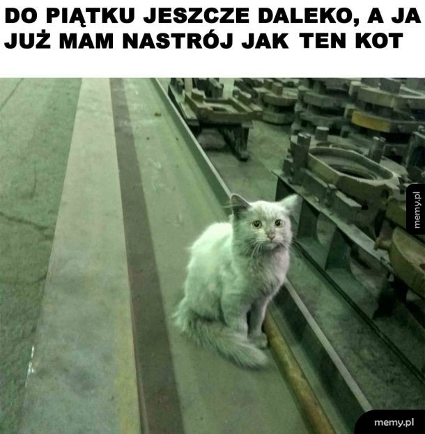 Nastrój na dziś
