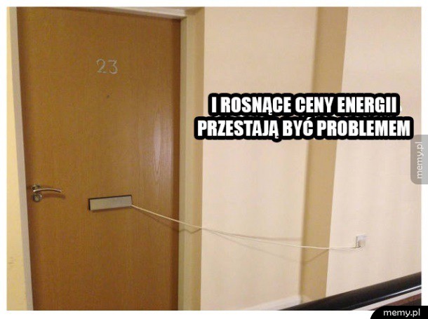 Janusze w akcji